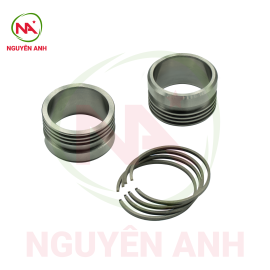 Bộ kit Bạc secmang dùng cho bơm Busch Mink MM 1202 AV